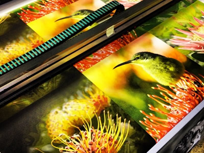 Photography digital print onto cotton canvas